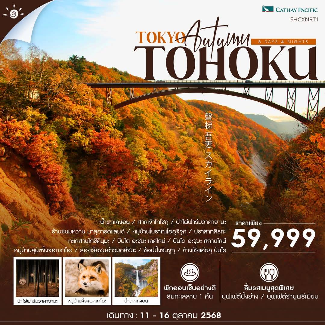 ทัวร์ญี่ปุ่น TOKYO TOHOKU AUTUMN 6วัน 4คืน (CX)