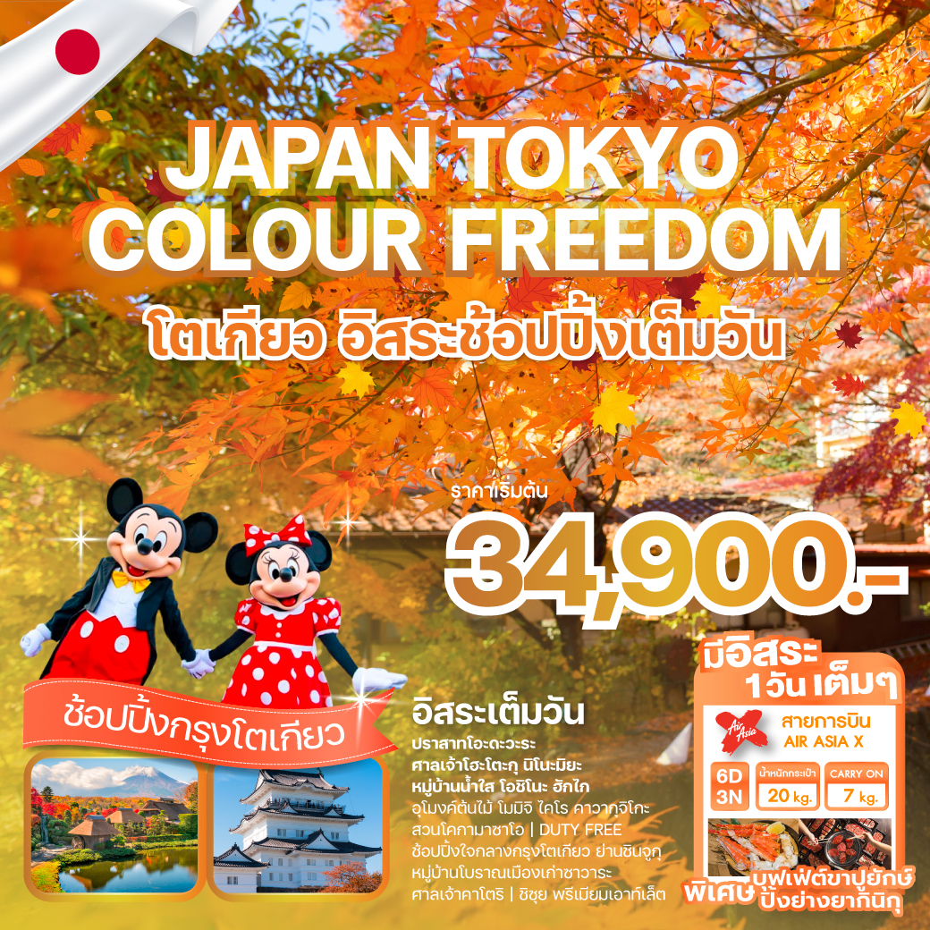 ทัวร์ญี่ปุ่น  JAPAN TOKYO COLOUR FREEDOM 6วัน 3คืน (XJ)