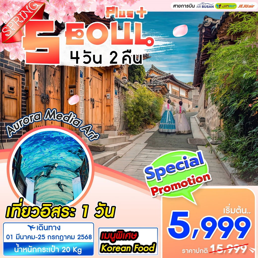 ทัวร์เกาหลี Seoul Plus Spring 4วัน 2คืน (ฺBX)