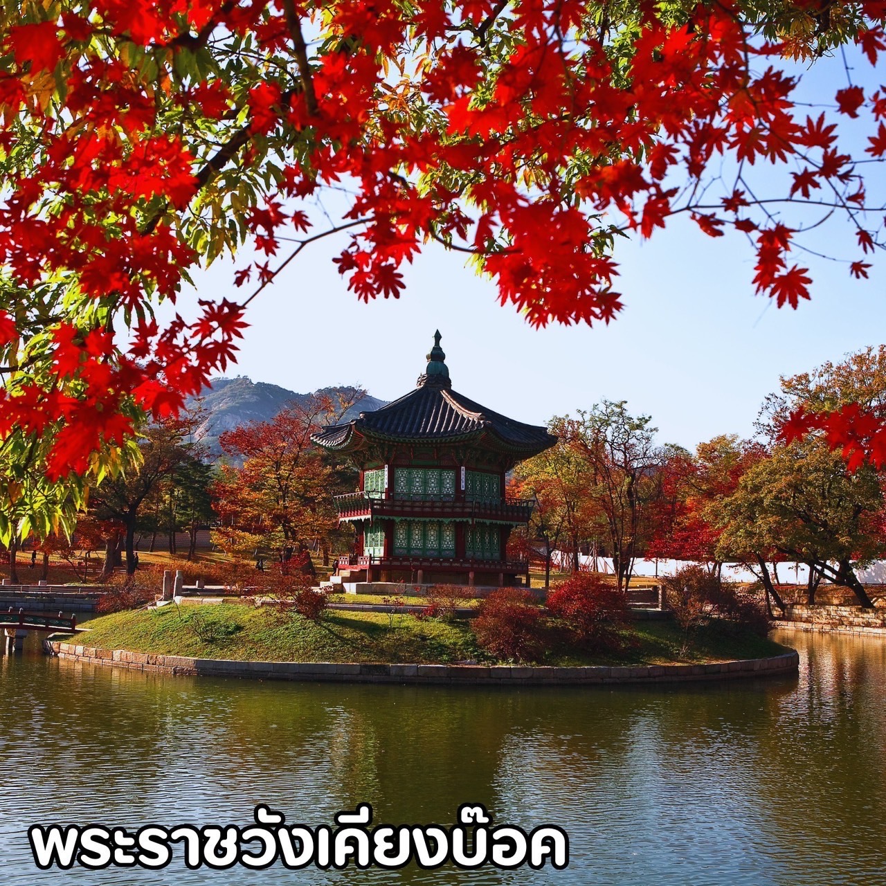 สายเกา..ห้ามพลาด!!