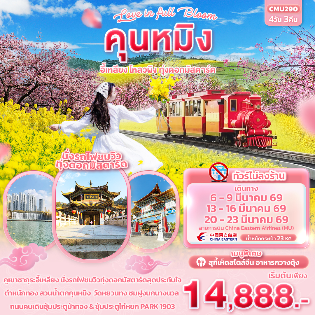 ทัวร์จีน Love in Full Bloom คุนหมิง อี้เหลียง โหลวผิง ทุ่งดอกมัสตาร์ด 4วัน 3คืน (MU)