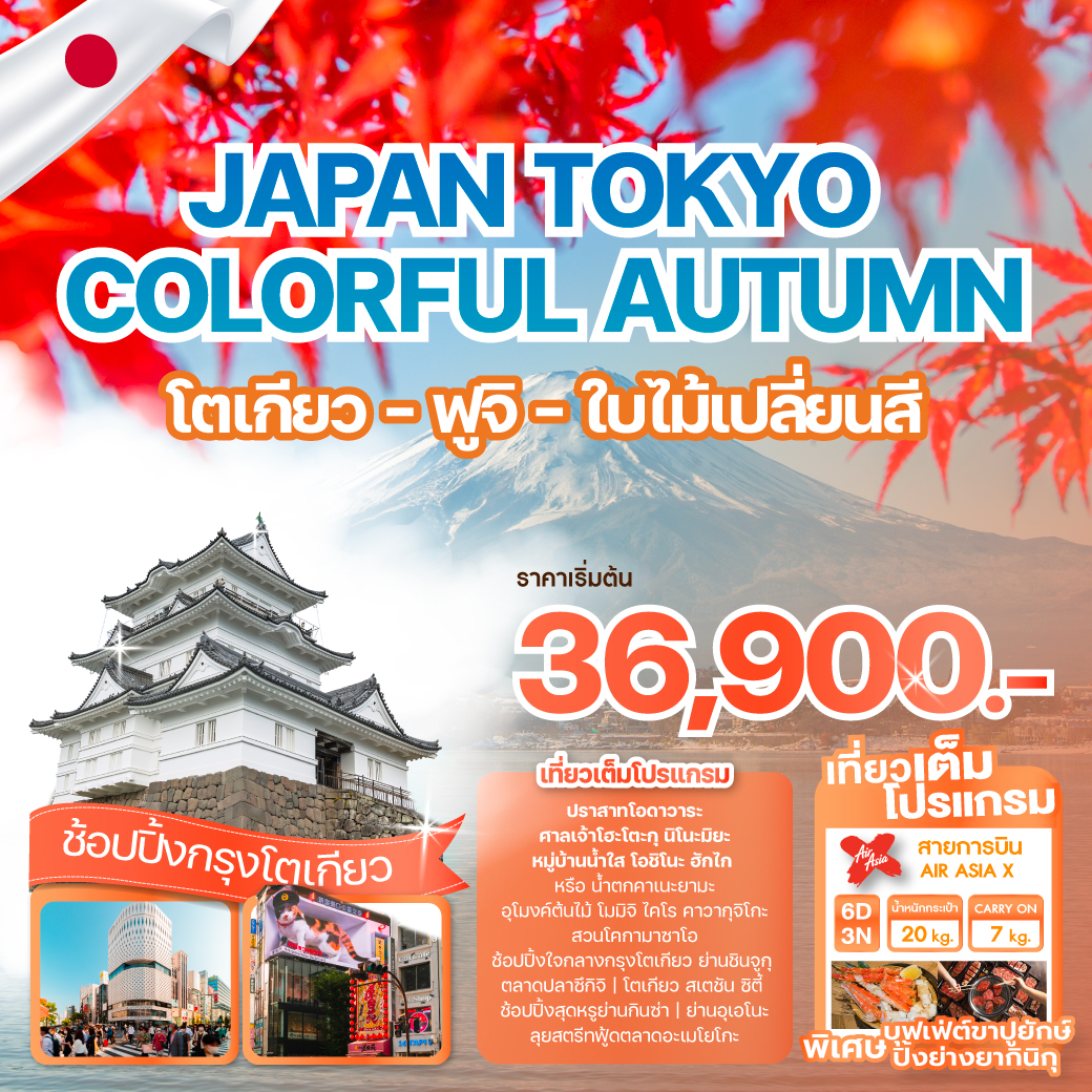 ทัวร์ญี่ปุ่น  JAPAN TOKYO COLORFUL AUTUMN 6วัน 3คืน (XJ)
